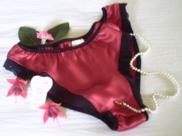 Red silk Briefs